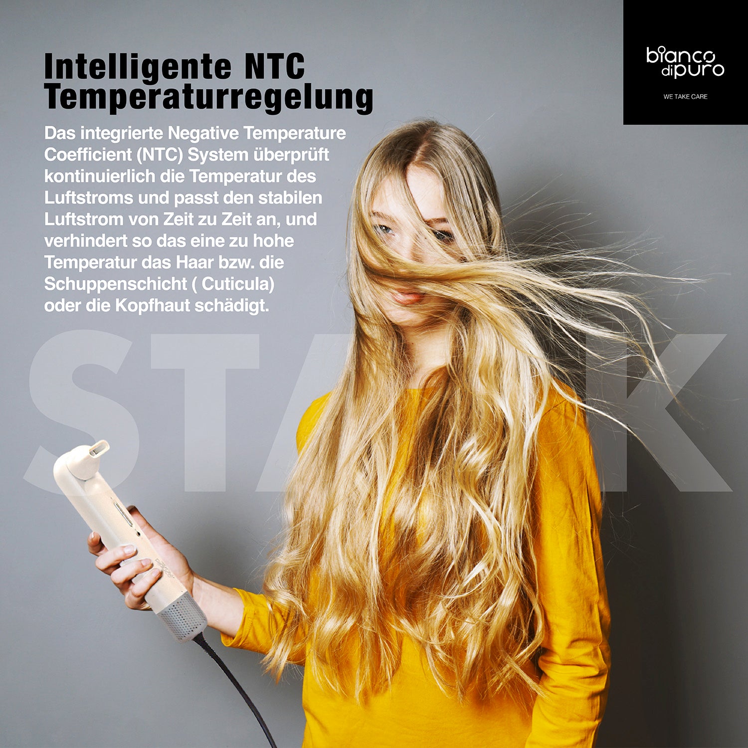 bianco-di-puro-bella-ionen-haartrockner-future-grey image 7