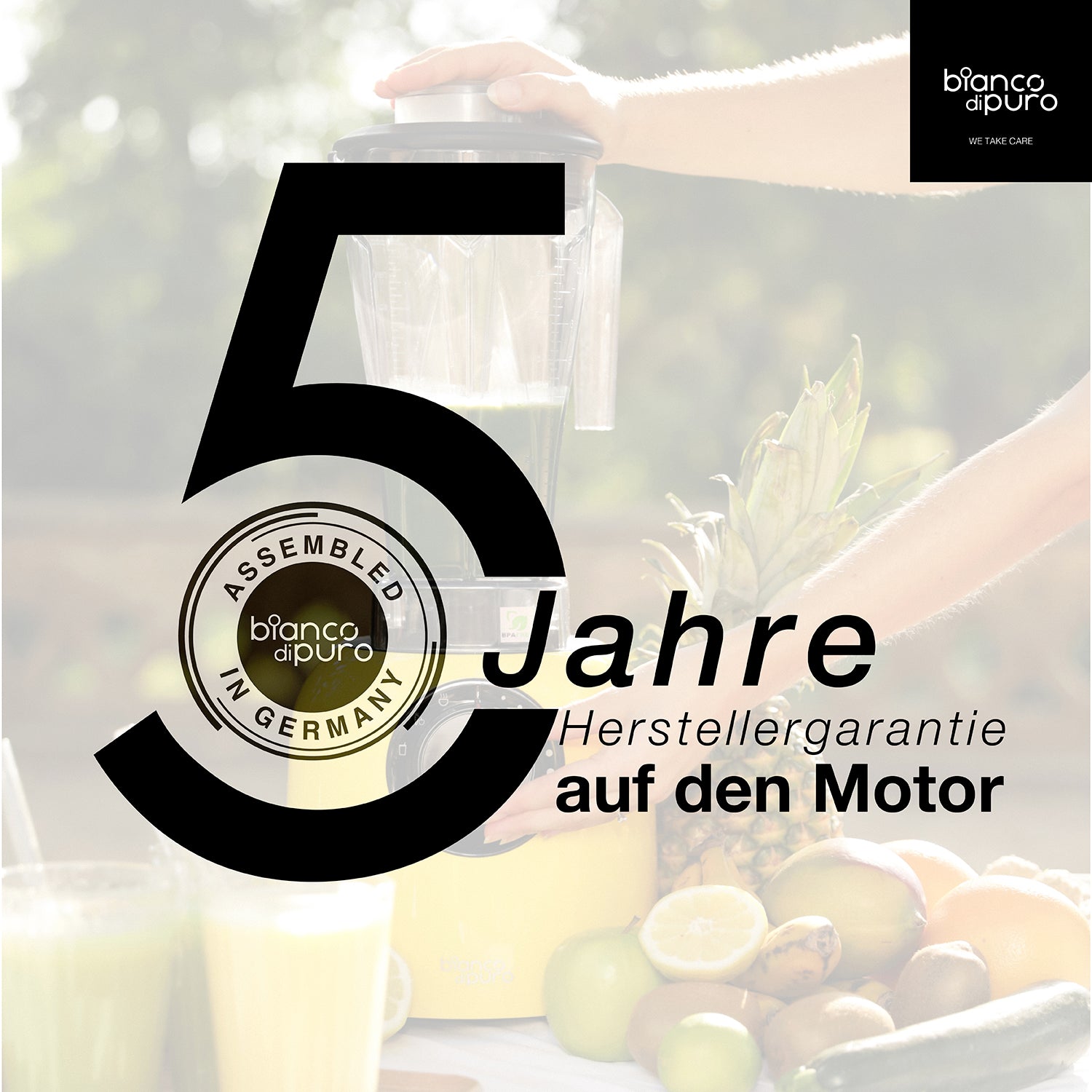 bianco-di-puro-verde-hochleistungsmixer-standmixer-2-liter-32-000 image 5